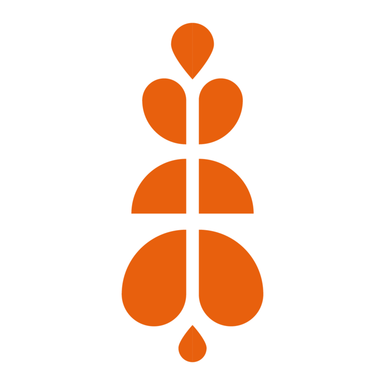 Icon+-+Orange